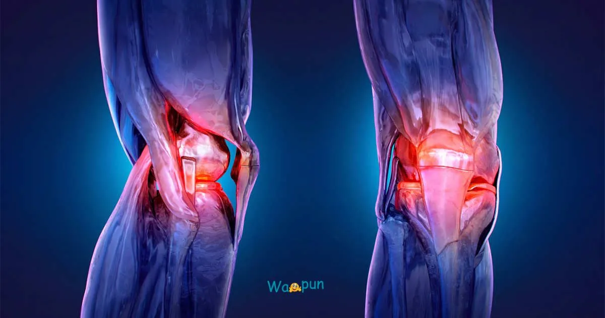 200+ Cartilage Puns & Jokes for Bone Loving Humor 2026