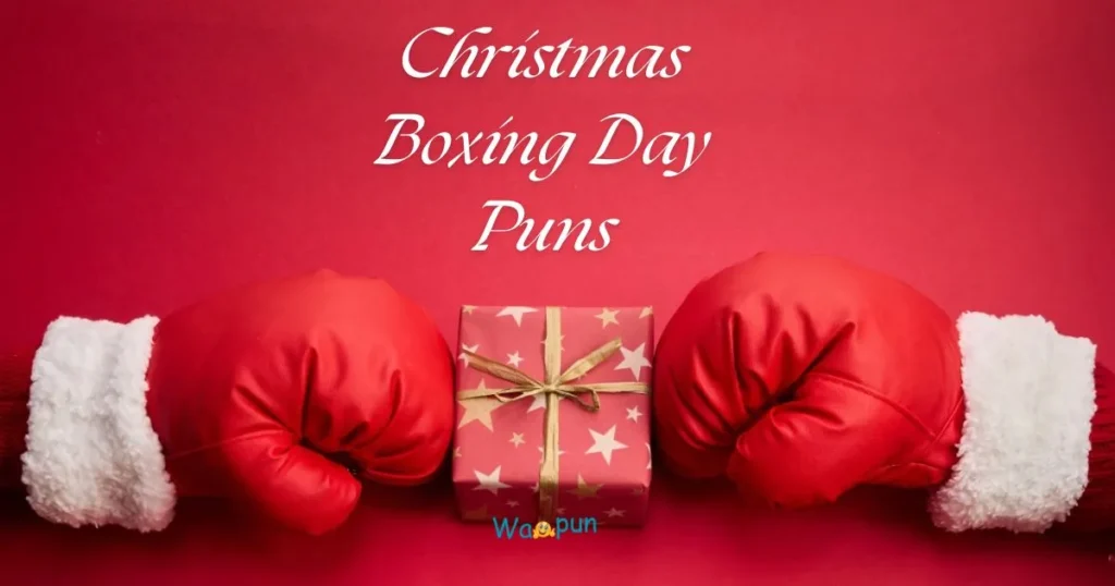 Christmas Boxing Day Puns