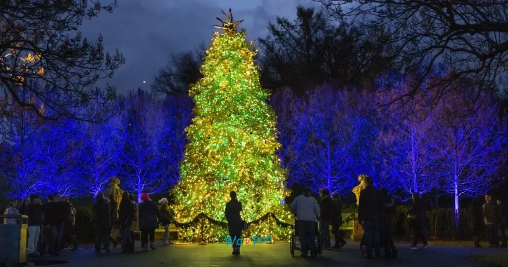 Christmas-Themed Wind Puns