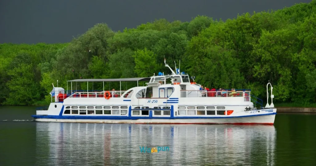 Classic Port Puns to Set Sail