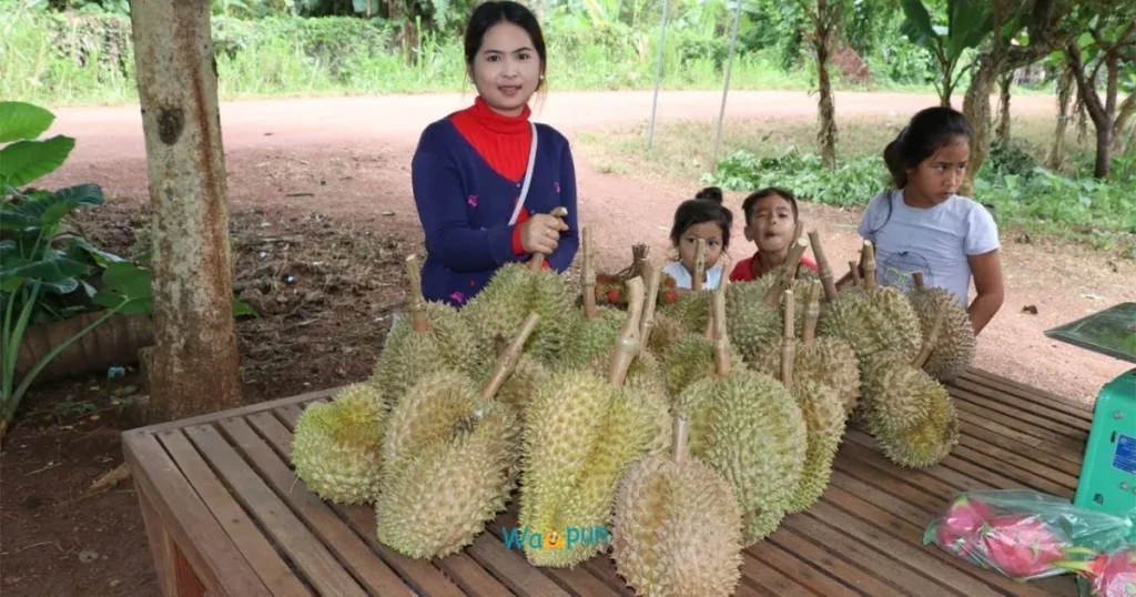 Durian Puns for Kids