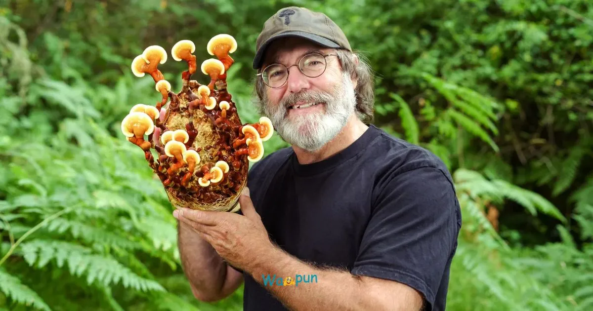210+ Mycologist Puns & Jokes to Ticklish Your Fungi Side 2026