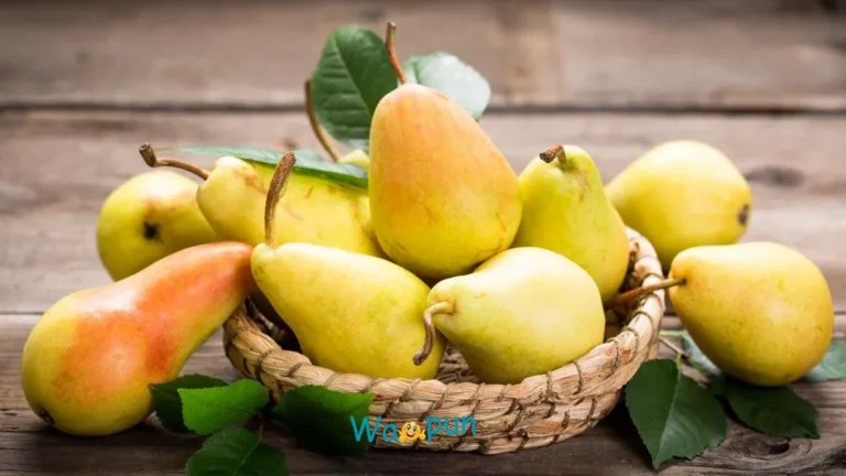 195+ Hilarious Pear Puns & Jokes That’ll Make You Laugh 2026