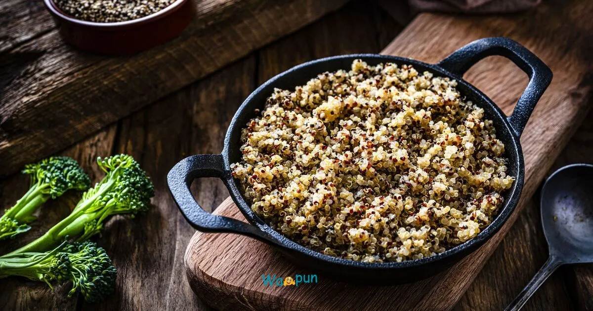 195+ Quinoa Puns & Jokes You Never Knew You Needed 2026