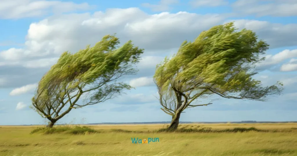 Wind Puns That Are Full of Hot Air