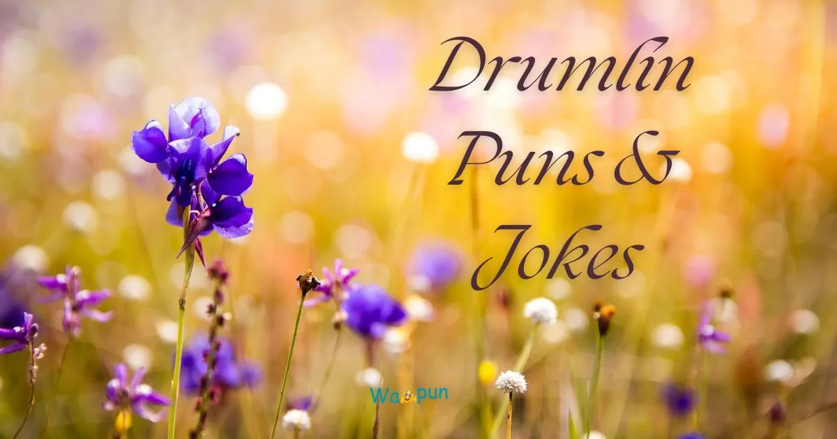 220+ Drumlin Puns & Jokes That Roll in Pure Laughter 2026