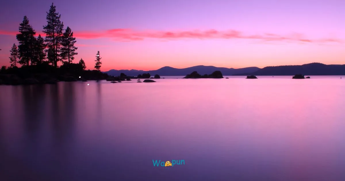 220+ Watershed Puns & Jokes to Brighten Your Day 2026