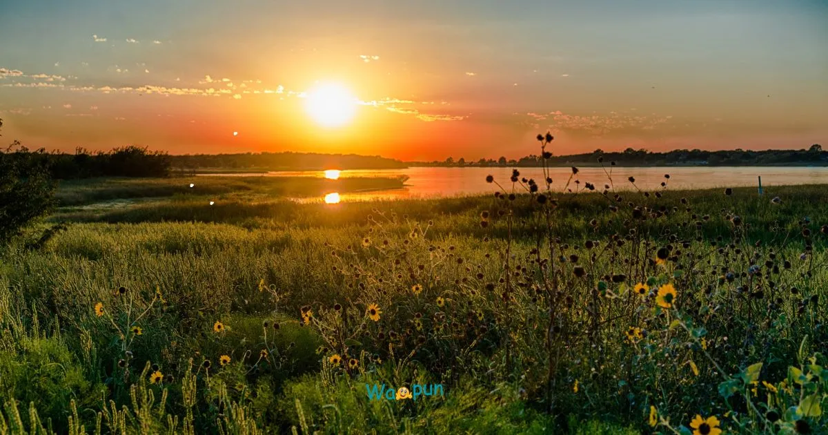 220+ Uplift Puns & Jokes That Brighten Any Day 2026