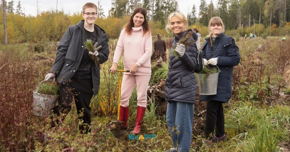 220+ Arbor Day Puns & Jokes to Sprout Smiles 2026