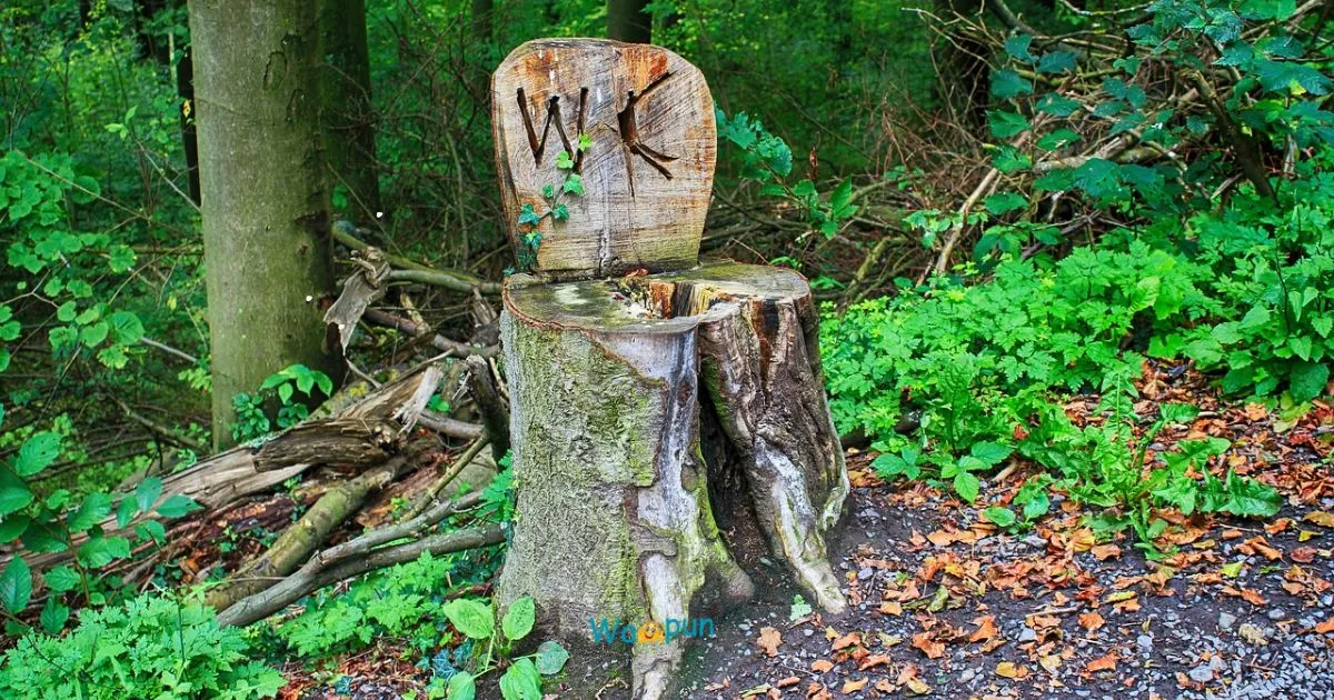 220+ Bark Puns & Jokes to Brighten Your Ruff Day 2026