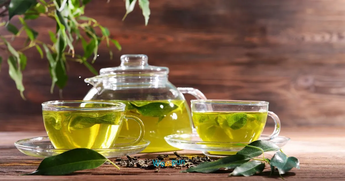 220+ Green Tea Puns & Jokes to Sip and Smile Today 2026