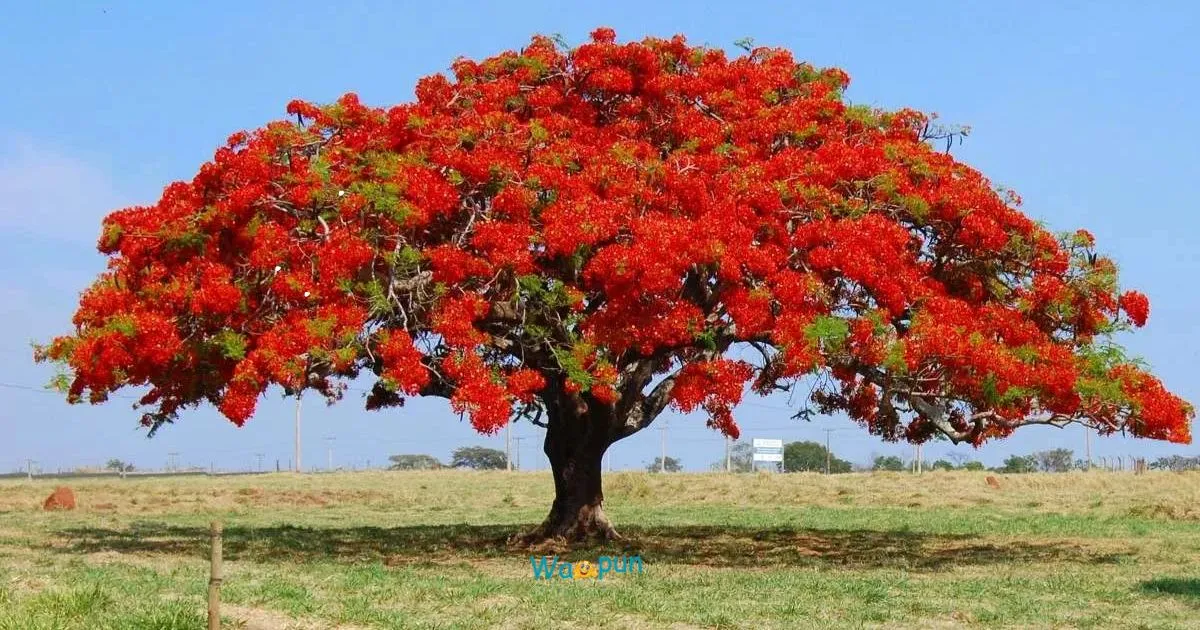 220+ Shrub Puns & Jokes That Grow on You Fast 2026