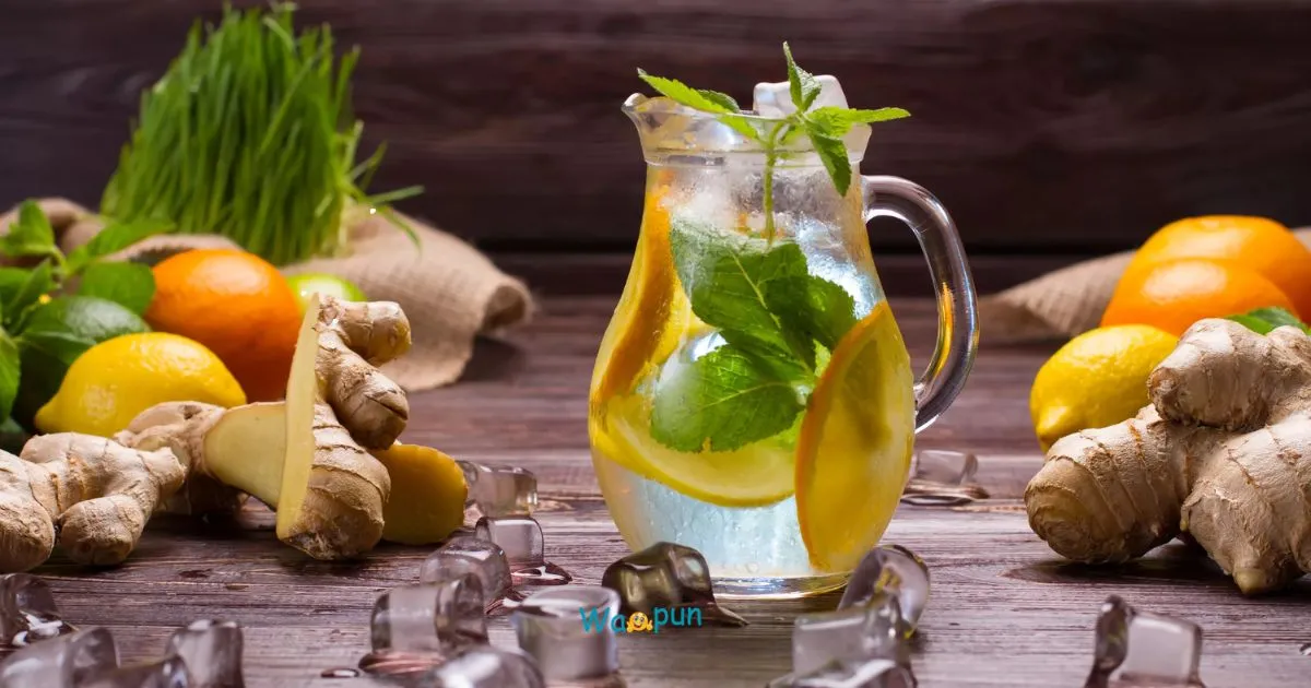 220+ Switchel Puns & Jokes to Refresh Your Mood 2026