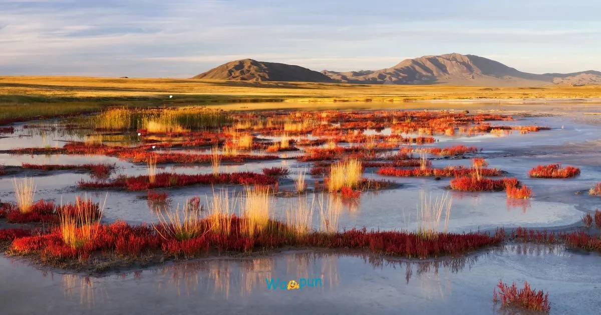 220+ Tundra Bloom Puns & Jokes That Sprout Giggles 2026