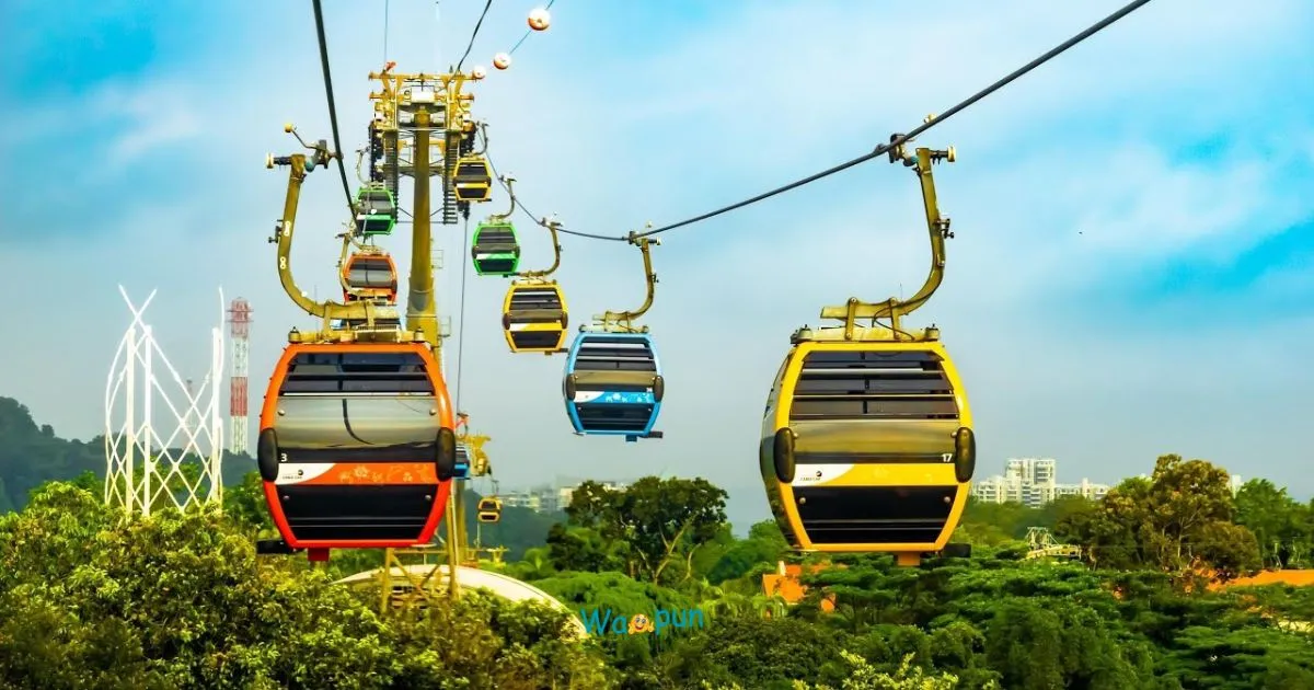 250+ Cable Car Puns & Jokes That Will Lift Your Mood 2026