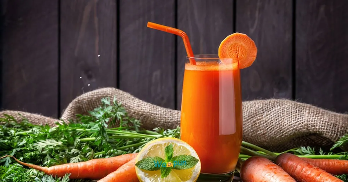 220+ Carrot Juice Puns & Jokes to Make You Laugh Hard 2026