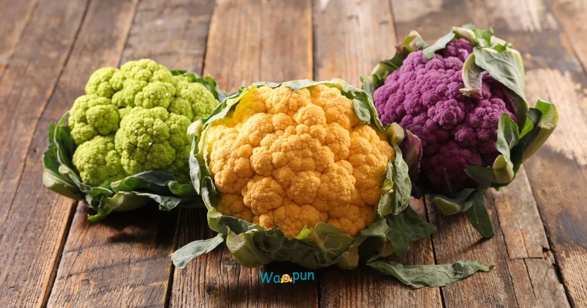 Cauliflower Puns