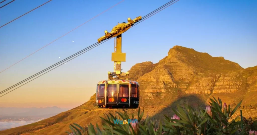 Extra Fun Cable Car Wordplay