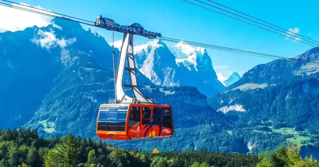 Fun Cable Car Puns