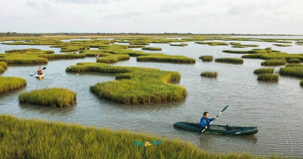 220+ Marsh Puns & Jokes You’ll Want to Save Forever 2026