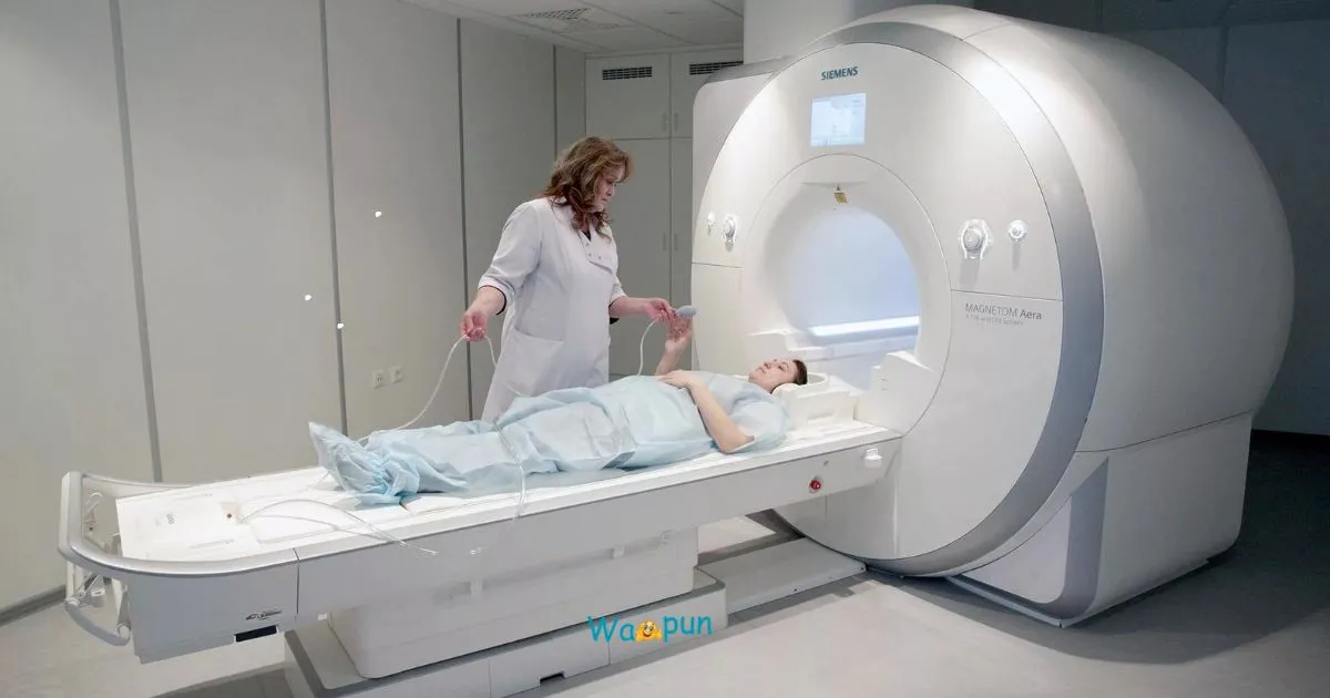 Radiologic Technologist Puns