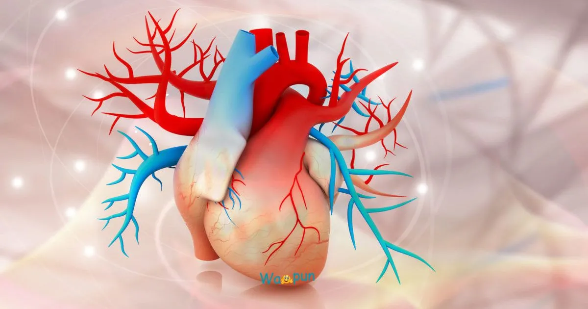 250+ Aorta Puns & Jokes Full of Heart and Humor 2026