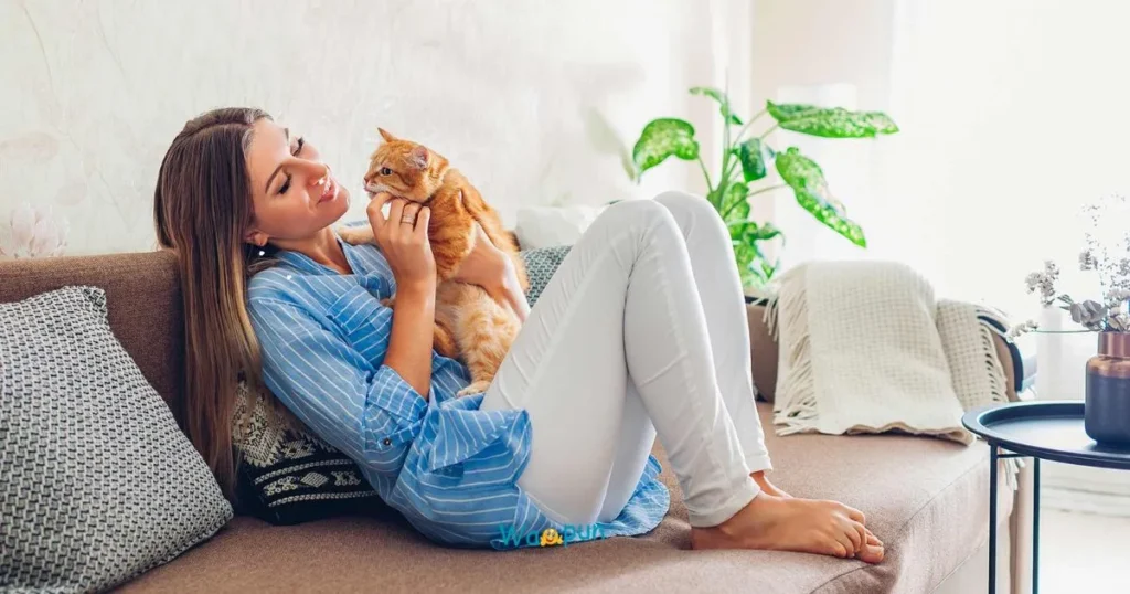 Fur Puns for Cat Lovers