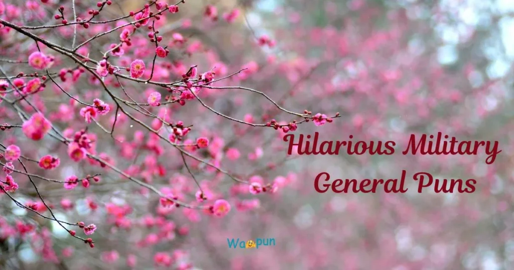 Hilarious Military General Puns