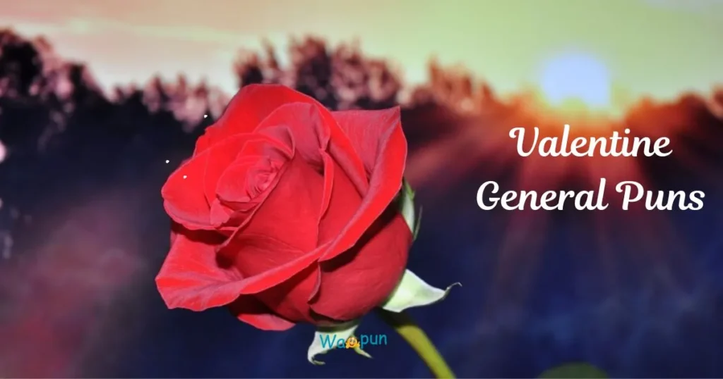Valentine General Puns