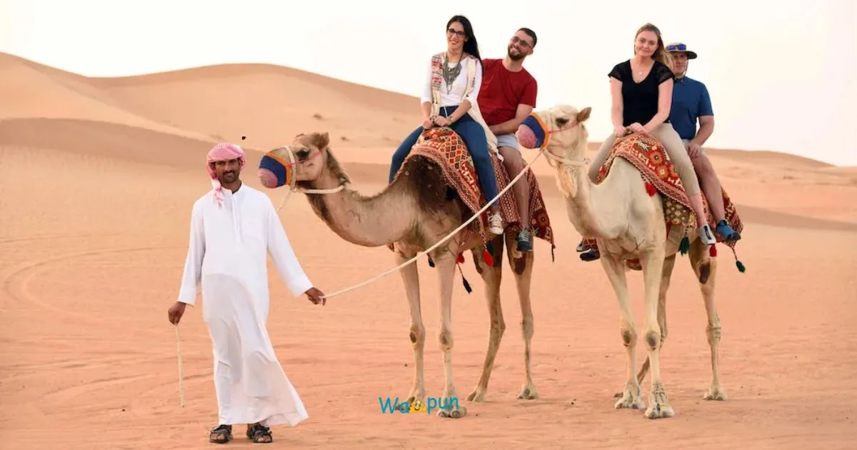 300+ Desert Puns & Jokes Sizzling Hot Comedy Trends 2026
