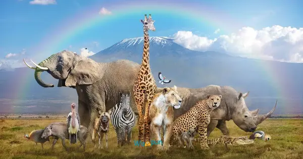 250+ Animal Puns & Jokes for Kids, Adults & Everyone 2026